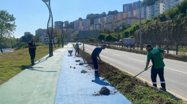 Giresun'da peyzaj alanları yenileniyor