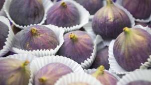 Sarılop ihracatı başladı... En çok Almanlar tercih ediyor
