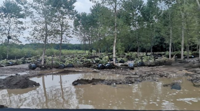Kırklareli'de sel 2 can aldı
