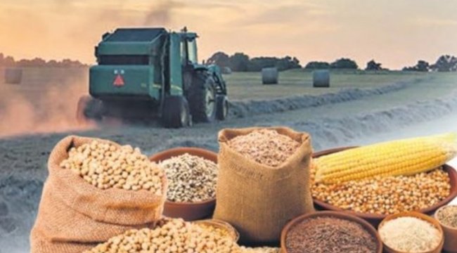 Tarım-ÜFE verileri açıklandı