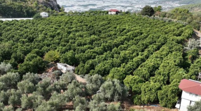 Kapalı devre sulama yüzleri güldürdü
