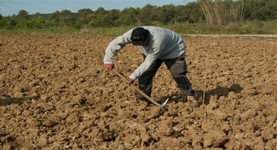 Bakan Yumaklı: