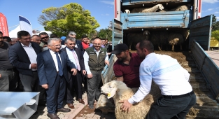 Büyükkılıç: