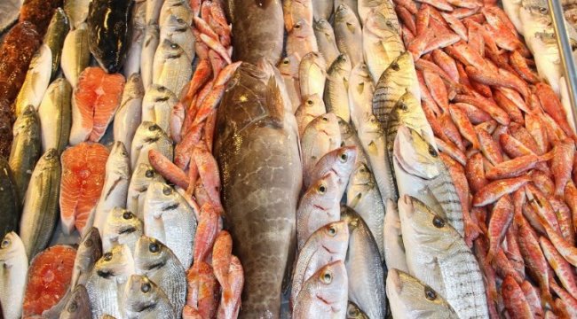 Ege Bölgesi'nde balık ihracatı 1 milyar doları aştı