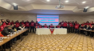 Birleşik Metal-İş: