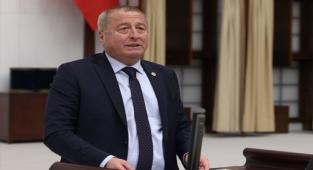 Olgun: