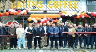 Sosyal proje kafesi, Cattus