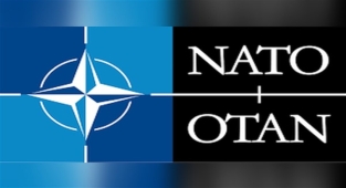 Siyaset bilimci Kjölv Egeland: NATO'nun dünya barışına yararlı olup olmadığı belli değil