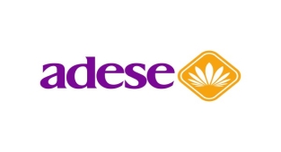 Adese'nin 2023 rakamları