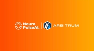 Bitci Borsa NPAI Token’a Arbitrum ağını entegre etti!