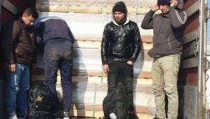 Edirne'de 232 kaçak göçmen yakalandı