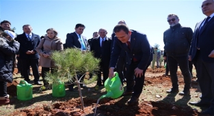 Muğla’da 30 bin fidan toprakla buluştu