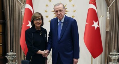 Bosna Hersek Büyükelçisi Colakovic, Cumhurbaşkanı Erdoğan'a güven mektubunu sundu