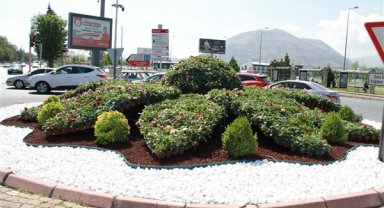 Büyükşehir, kentin dört bir yanına 800 bin adet çiçek ekti