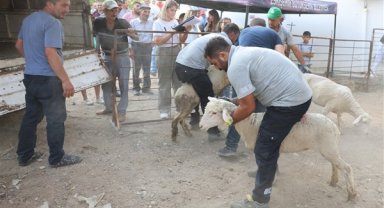 Büyükşehirden küçük çiftçiye yönelik destek