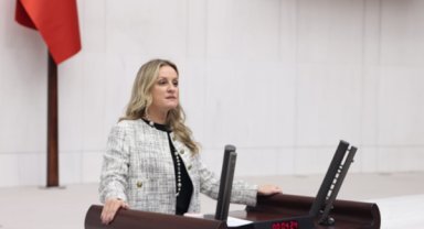 DEVA Partili Ösen: Sokak hayvanları sorununun mimarı hükümettir