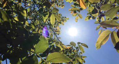 Hava sıcaklığı ülke genelinde mevsim normallerinin üzerinde seyredecek