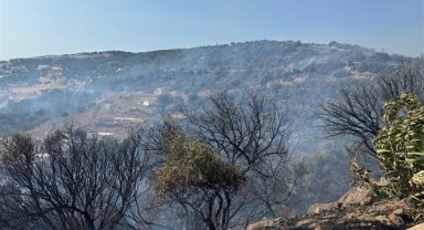 İzmir İtfaiyesi, Dikili'de orman yangınına müdahale ediyor