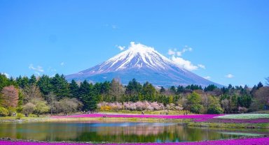 Japonya'daki işletmeler, turistlerden daha fazla ücret almayı düşünüyor
