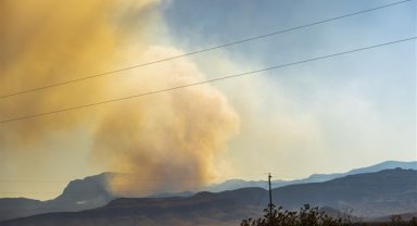 Kırklareli ve Hatay’daki orman yangınları kontrol altına alındı