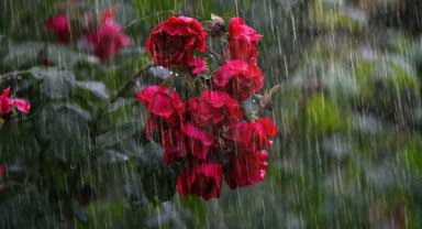 Meteoroloji'den gök gürültülü sağanak yağış uyarısı