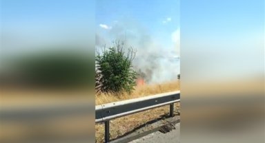 Şanlıurfa Organize Sanayi Bölgesi yakınındaki ormanlık alanda yangın çıktı