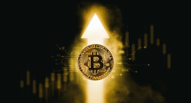 Bitcoin yatırım ürünlerine rekor para girişi