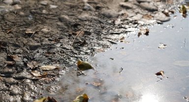 Deniz kirliliği nedeniyle Antalya Büyükşehir Belediyesi’ne 464 bin TL idari para cezası