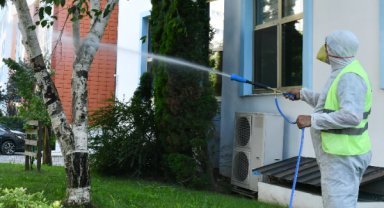 Esenyurt’ta teke böceğiyle mücadele sürüyor