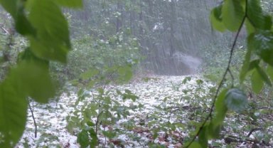 Meteoroloji'den kuvvetli yağış uyarısı