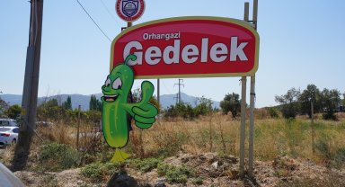Orhangazi Belediyesi, Gedelek Turşu Festivali için hazırlanıyor