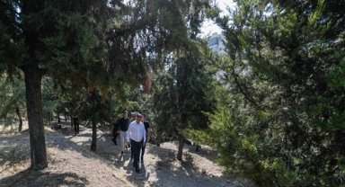 Tugay, yangın bölgesinde iyileştirme çalışmalarını başlattı