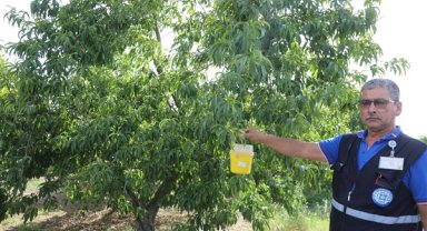 Muğla Büyükşehir Belediyesi’nden üreticilere destek