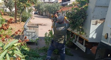 Orhangazi Belediyesinden dal toplama çalışmaları
