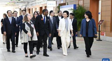 Peng Liyuan Çinli ve ABD'li gençler ile buluştu