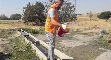 Yenimahalle Belediyesi ilaçlama çalışmalarına devam ediyor