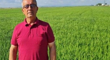Balcılar: Bu kuraklık devam ederse çeltik ekimi olmaz