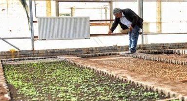 Kayapınar Belediyesinden kent geneli ve kırsal mahallelere bitki desteği