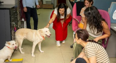 Mersin’de “Yaşamı Sahiplen Destek Büyükşehirden” kampanyası sürüyor