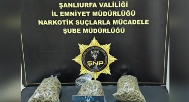 Şanlıurfa’da 2 kilo 950 gram skunk ele geçirildi