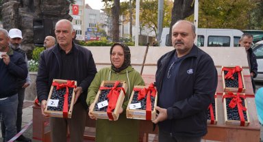 46. Orhangazi Zeytin Festivali gerçekleştirildi
