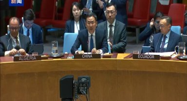 Çin: Ukrayna krizi barışçıl bir çözümle sona ermeli