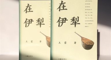 Çinli yazarın Uygur yaşam tarzıyla kucaklaşmasına ışık tutan kitap Türkçe'ye çevrilecek