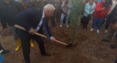 Diyarbakır'da 12 bin ağaç dikildi