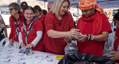 Engelli bireyler zeytin hasadına katıldı