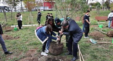 Millet Bahçesi’ne 30 fıstık çamı dikildi