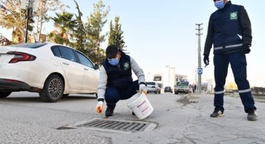 Osmaniye Belediyesi, vektörlere karşı çalışmalarını sürdürüyor