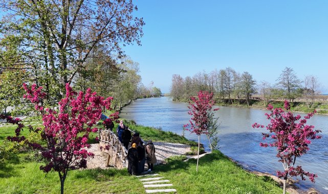 Ordu'da parklar ile yeşil alanlara çeşitli ağaç ve süs bitkileri ekildi