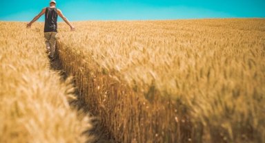 AgroTech AI faaliyete geçti