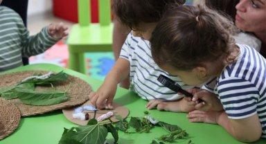 Antalya Büyükşehir çocukları ipekböceği ile tanıştırıyor